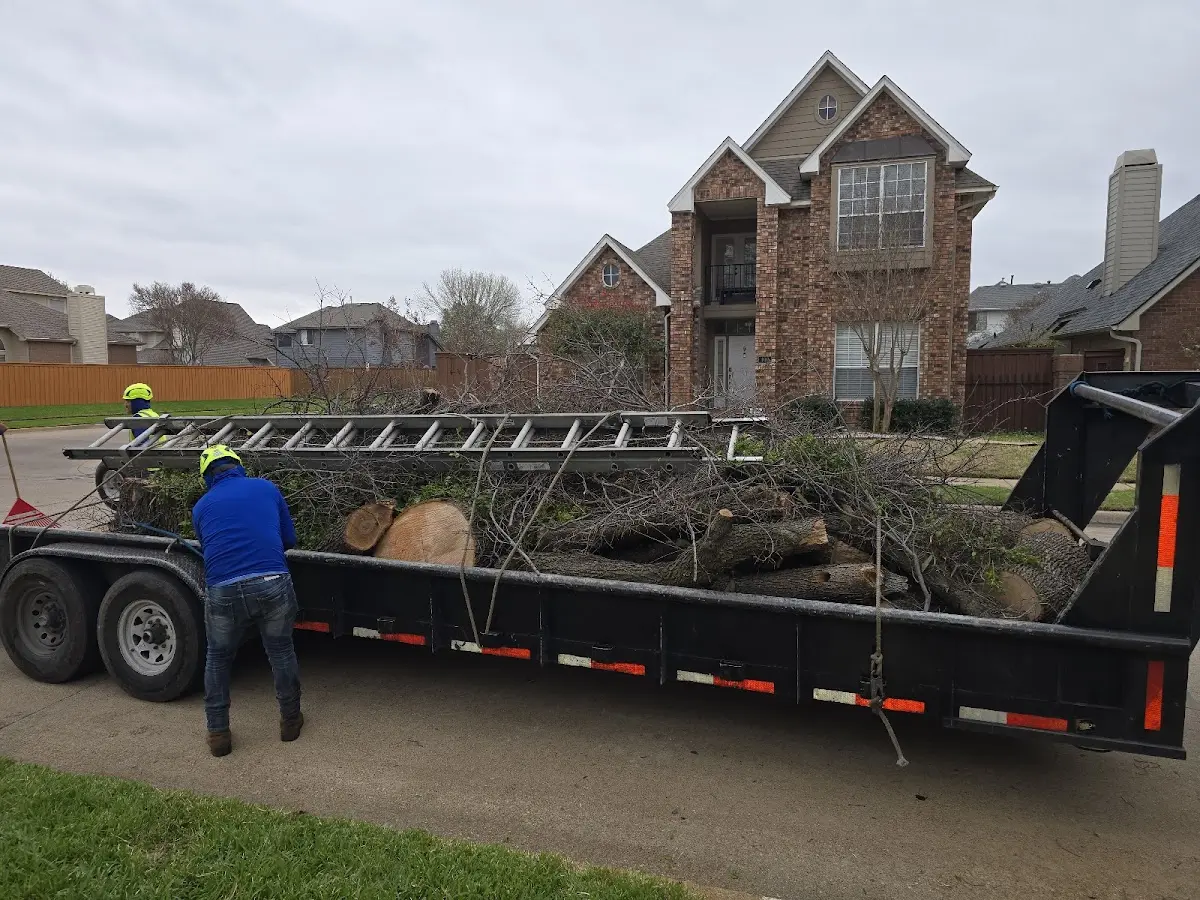 Expert Lot Clearing with proper safety equipment in Fontana